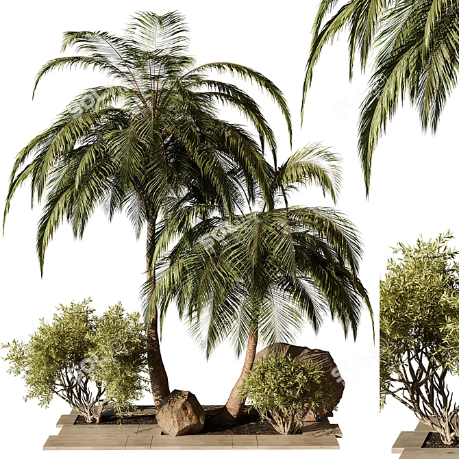 Outdoor Plant 210 Design Collection 3D model image 1