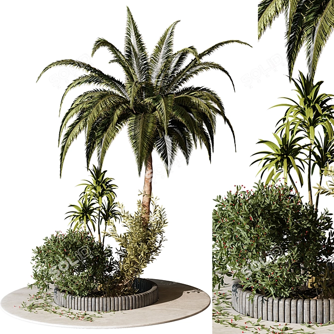 Outdoor Plant 211 - 2015 Edition 3D model image 1