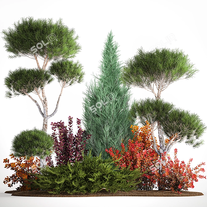 Conifer Collection for Landscape Transformation 3D model image 1