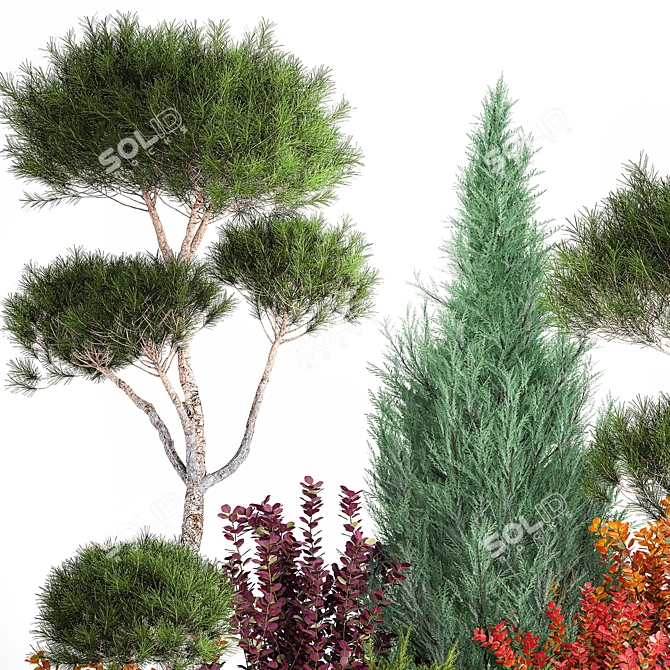 Conifer Collection for Landscape Transformation 3D model image 2