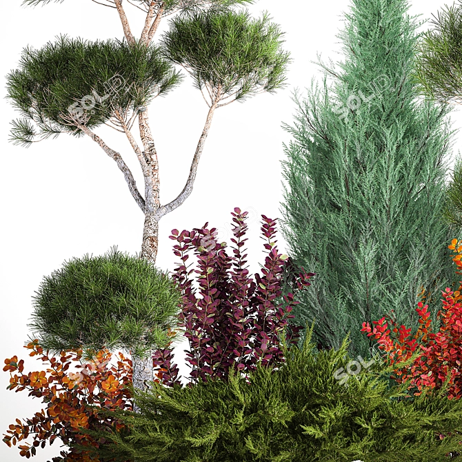 Conifer Collection for Landscape Transformation 3D model image 3