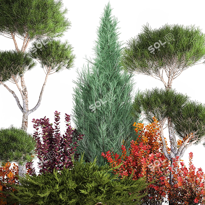 Conifer Collection for Landscape Transformation 3D model image 4