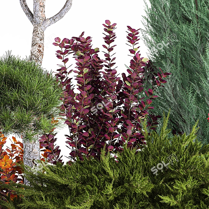 Conifer Collection for Landscape Transformation 3D model image 5