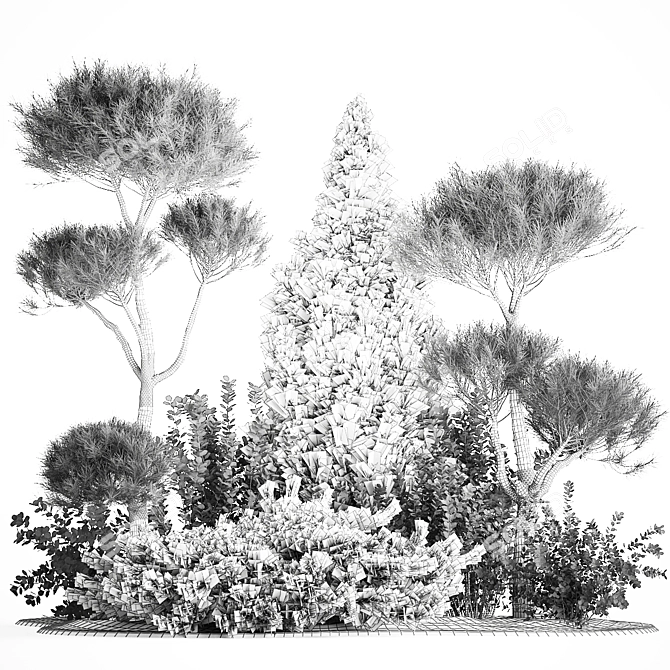 Conifer Collection for Landscape Transformation 3D model image 7