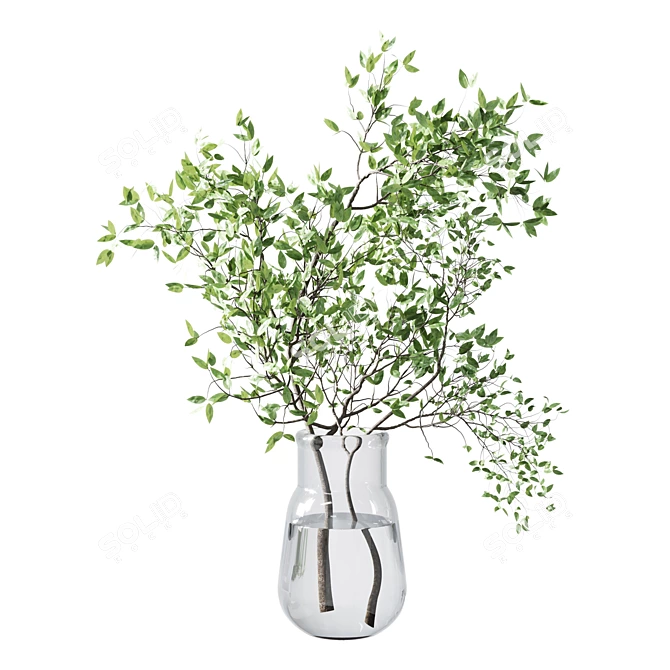 Botanical Greenery Bundle Indoor Display 3D model image 6