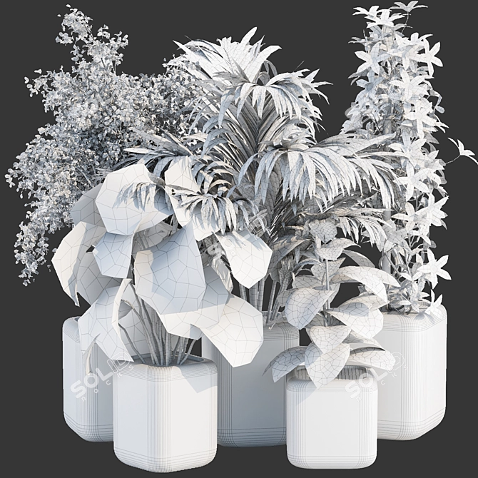  Rare Indoor Plants Collection Vol. 181 3D model image 6