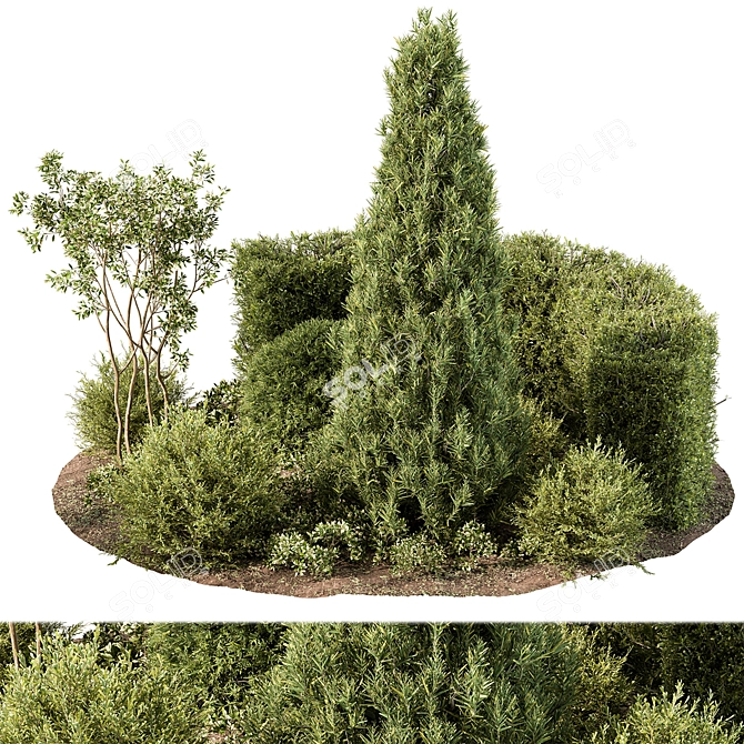 Outdoor Garden Plants Collection 3D model image 2