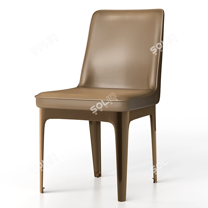 Elegant Dining Chair by Garda Decor 3D model image 3