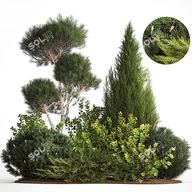 Alpine Garden Set with Evergreen Trees 3D model image 1