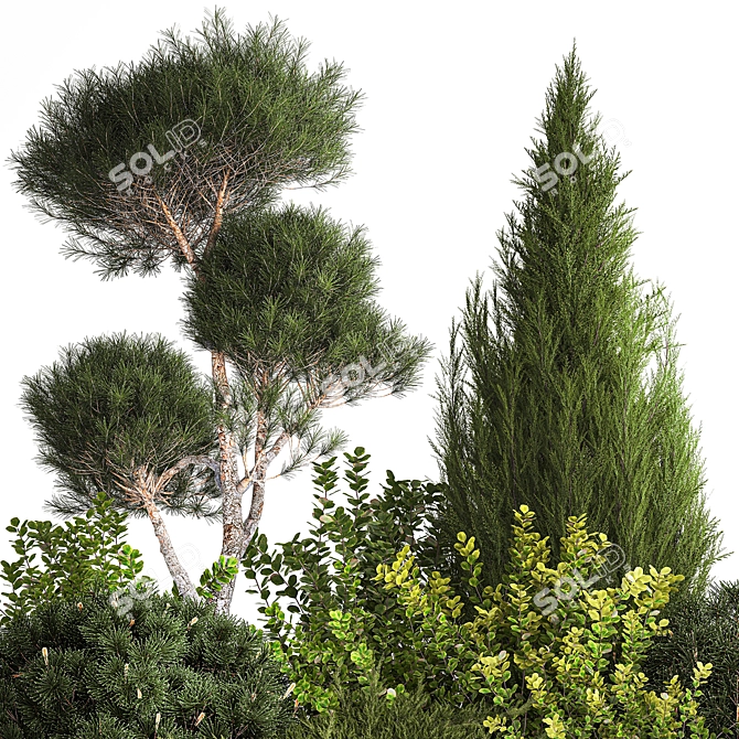 Alpine Garden Set with Evergreen Trees 3D model image 2