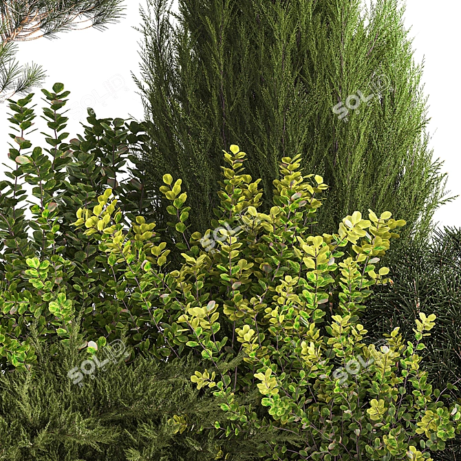 Alpine Garden Set with Evergreen Trees 3D model image 3