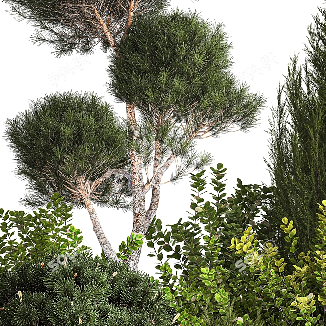 Alpine Garden Set with Evergreen Trees 3D model image 4