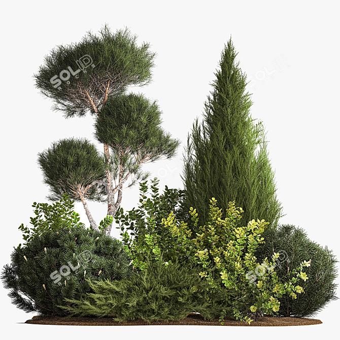 Alpine Garden Set with Evergreen Trees 3D model image 6