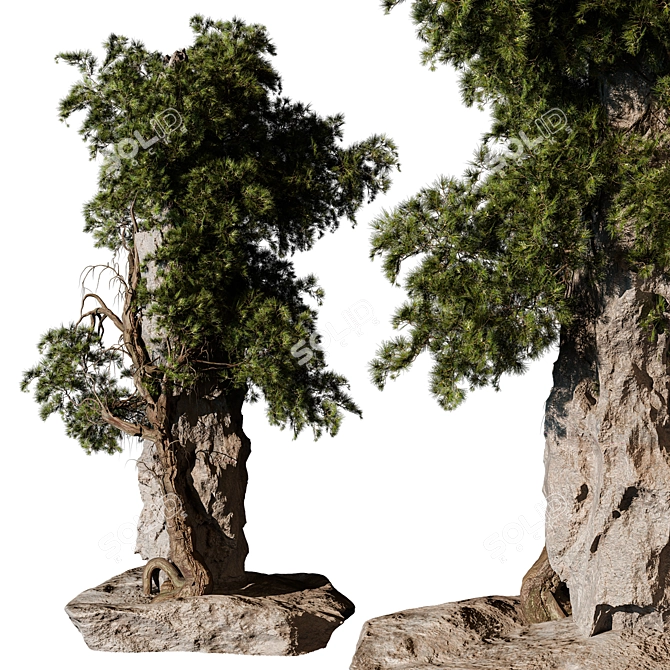 Modern Outdoor Plant 3D Model 3D model image 1