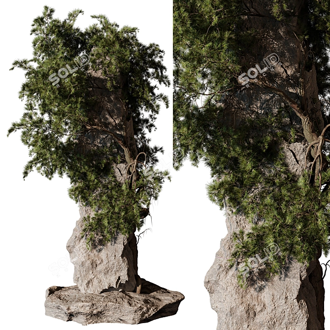 Modern Outdoor Plant 3D Model 3D model image 2