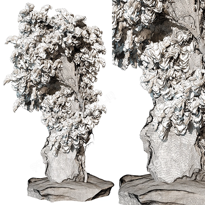 Modern Outdoor Plant 3D Model 3D model image 3