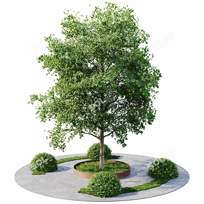 Exterior Plant Set Bundle 11 3D model image 1