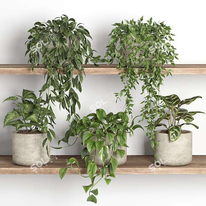 Modern Plants Shelf Display Stand 3D model image 1