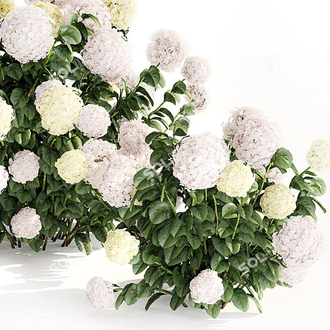 White Hydrangea Trio Collection 3D model image 6