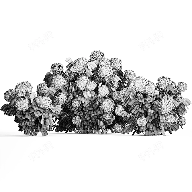 White Hydrangea Trio Collection 3D model image 7