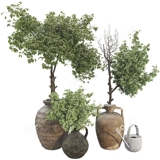 Modern Plant Collection Set 60 3D model image 1