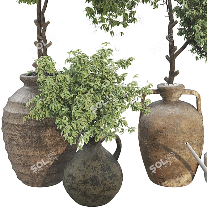 Modern Plant Collection Set 60 3D model image 5