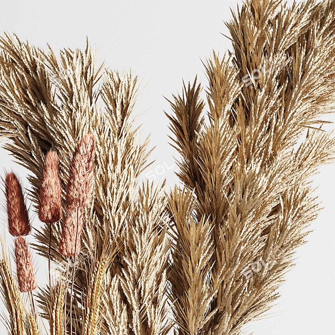 Pastel Charm Dried Flowers Bouquet 3D model image 2