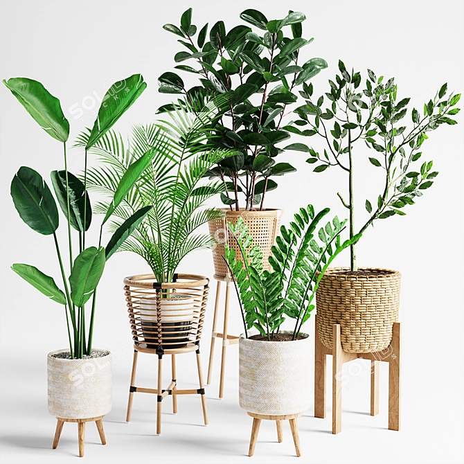 Lush Indoor Plants Set 07 3D model image 1