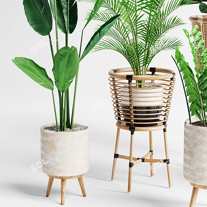 Lush Indoor Plants Set 07 3D model image 2