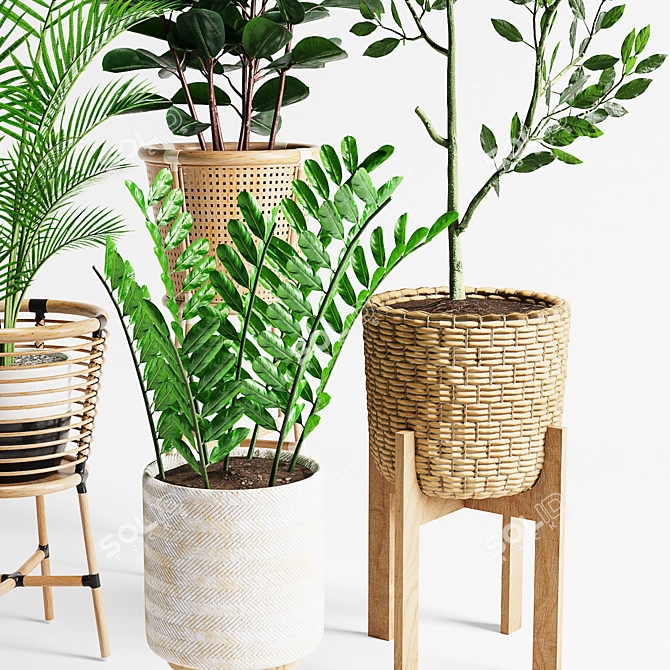 Lush Indoor Plants Set 07 3D model image 3