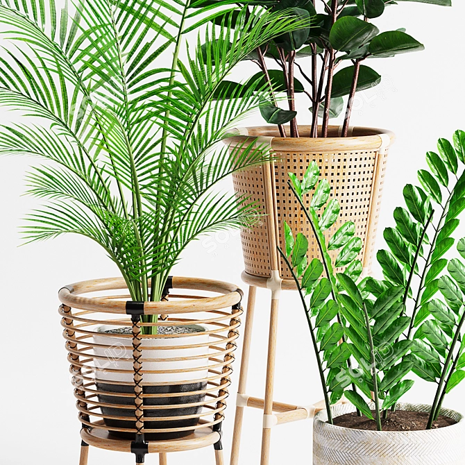 Lush Indoor Plants Set 07 3D model image 4