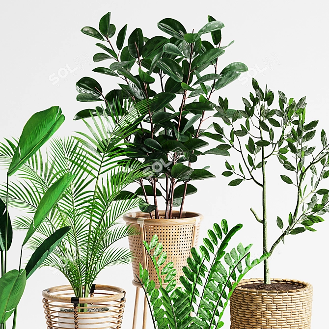 Lush Indoor Plants Set 07 3D model image 5