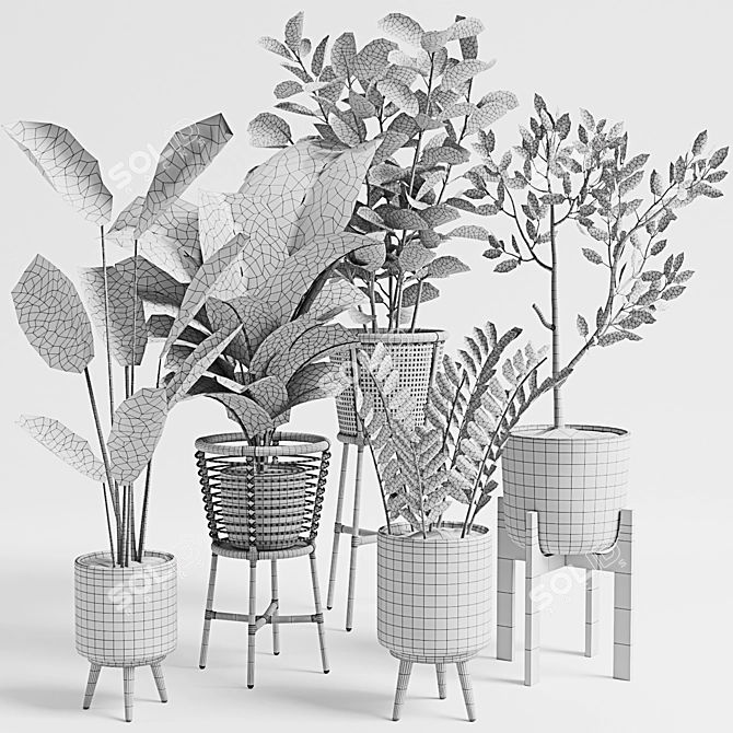 Lush Indoor Plants Set 07 3D model image 6