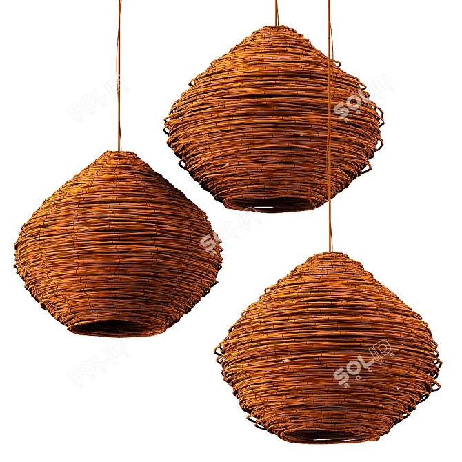 Modern 3D Model Wicker Lamp 3D model image 5