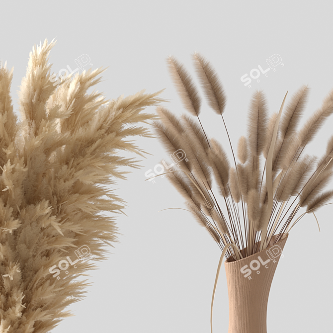 Pampas Grass Book Set 3D model image 2