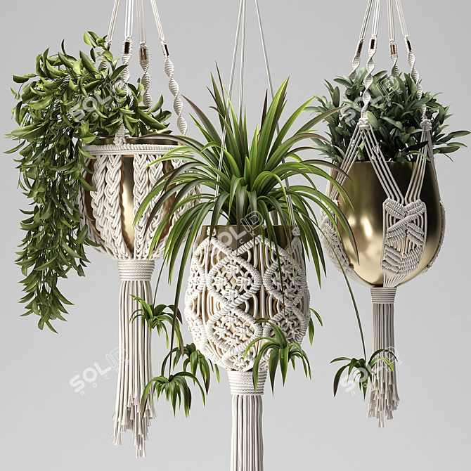 Handcrafted Macrame Plant Hangers 3D model image 1