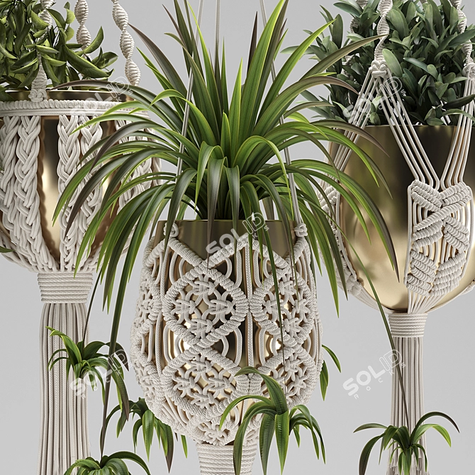 Handcrafted Macrame Plant Hangers 3D model image 2