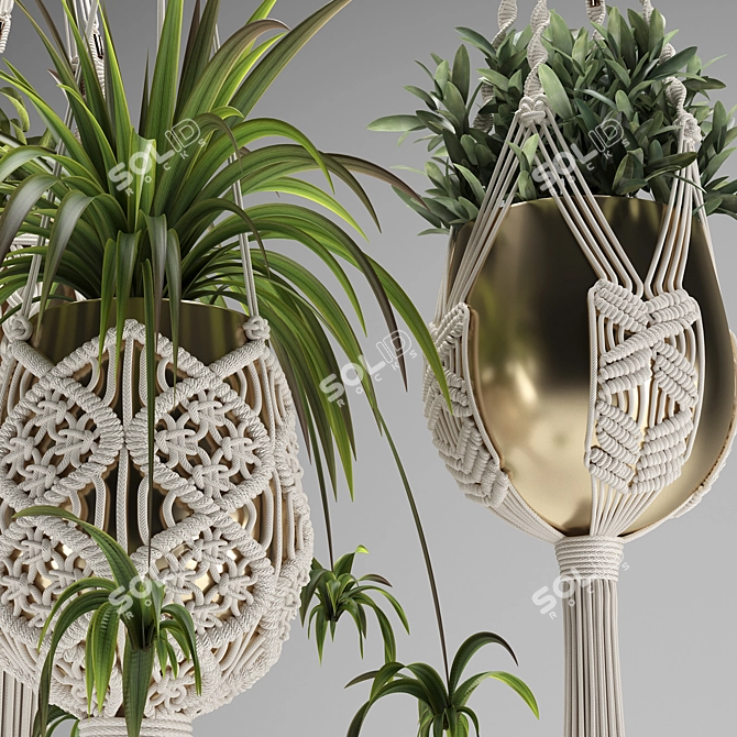 Handcrafted Macrame Plant Hangers 3D model image 3