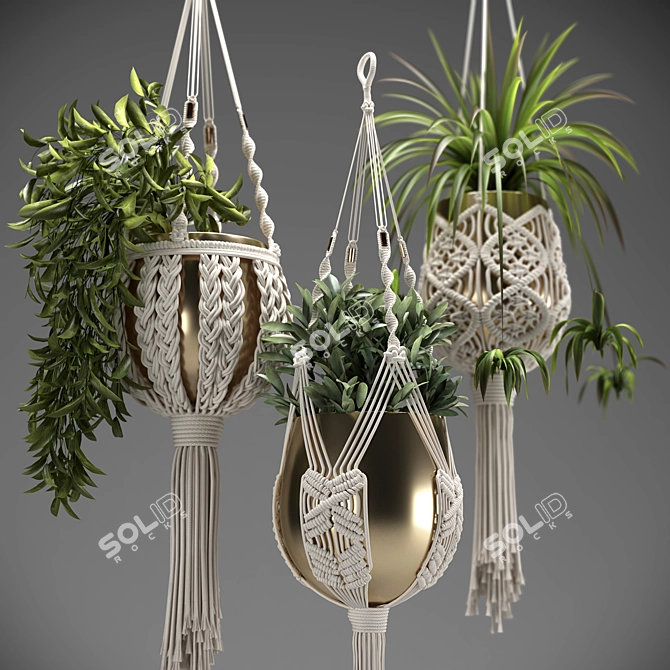 Handcrafted Macrame Plant Hangers 3D model image 4