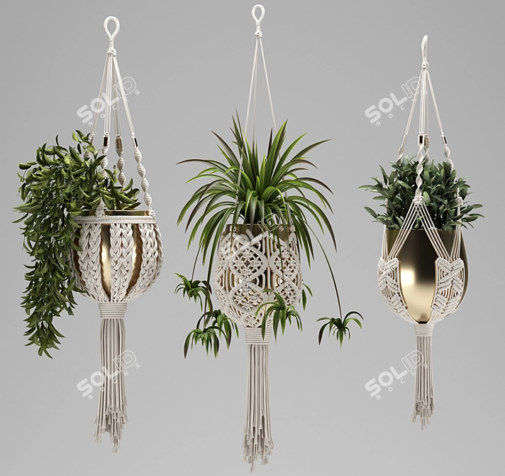 Handcrafted Macrame Plant Hangers 3D model image 5