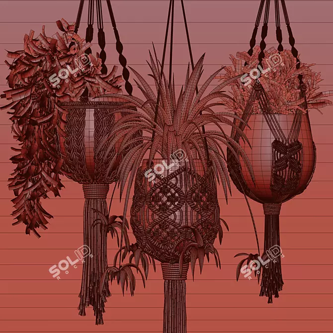 Handcrafted Macrame Plant Hangers 3D model image 7