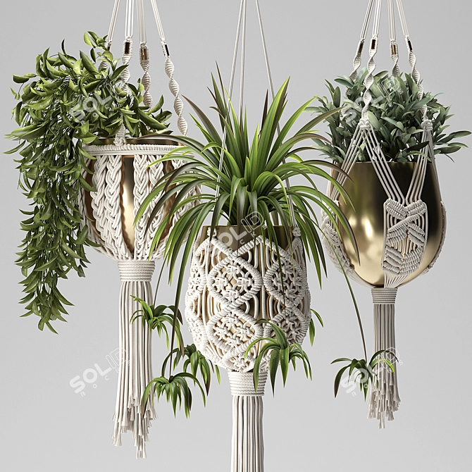 Handcrafted Macrame Plant Hangers 3D model image 8