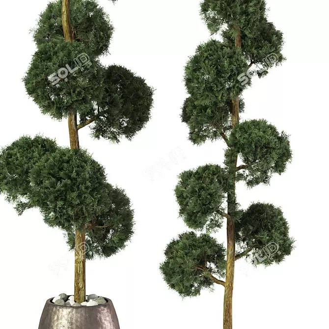 Tall Outdoor Plant Sculpture 3D model image 2