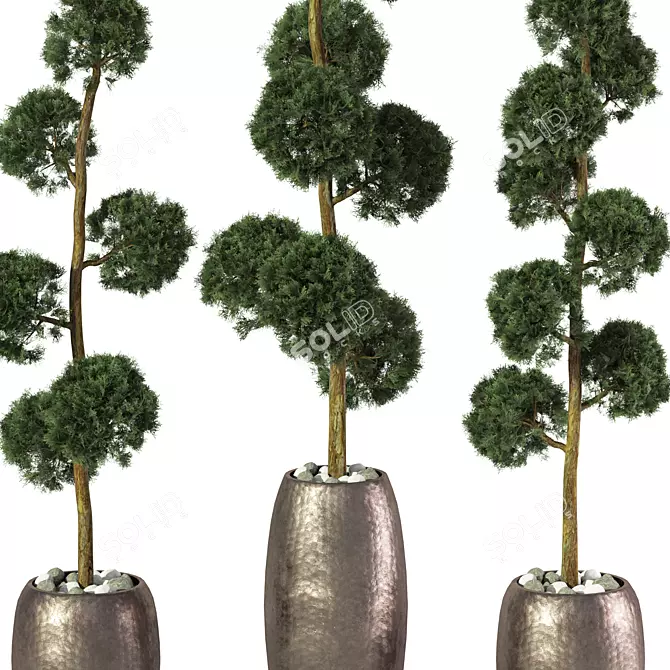 Tall Outdoor Plant Sculpture 3D model image 3