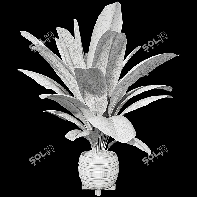 Beautifully Detailed Banana Plant Set 3D model image 7