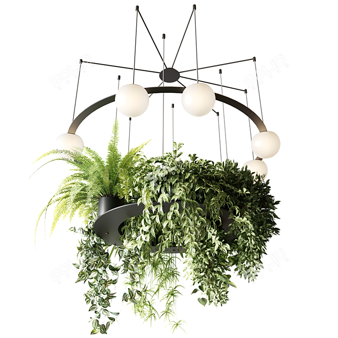 Circular Pendant Chandelier with Ampelous Plants 3D model image 1