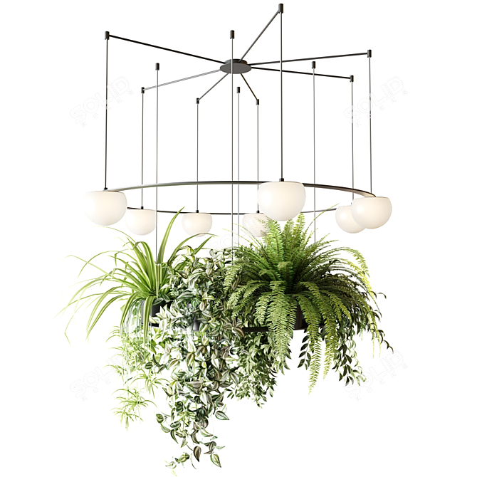 Circular Pendant Chandelier with Ampelous Plants 3D model image 3