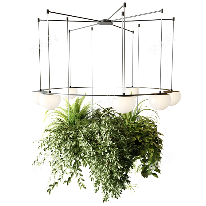 Circular Pendant Chandelier with Ampelous Plants 3D model image 4