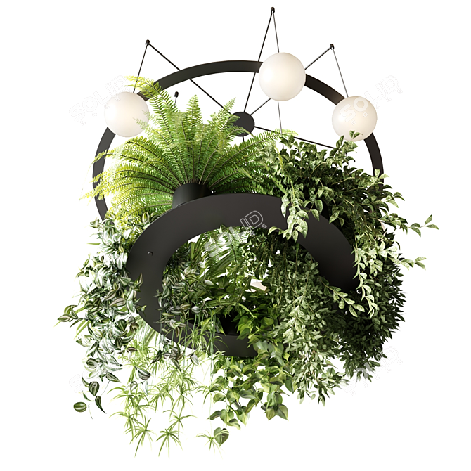 Circular Pendant Chandelier with Ampelous Plants 3D model image 5