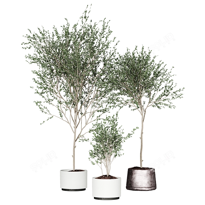 Modern Plant Collection Model Set 3D model image 1